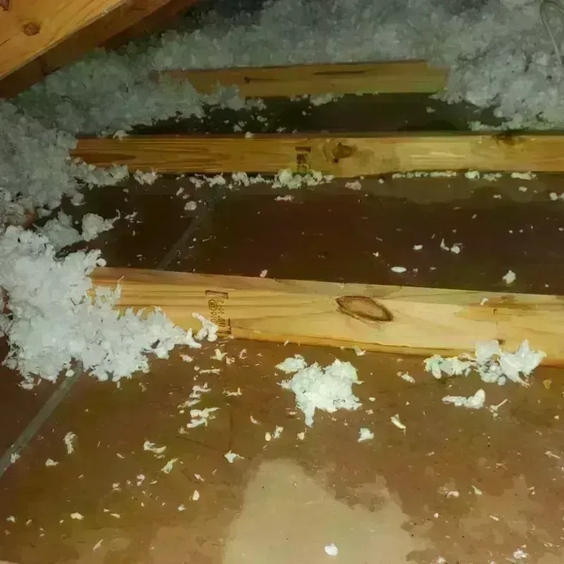 Attic Water Damage in Sweet Home, OR