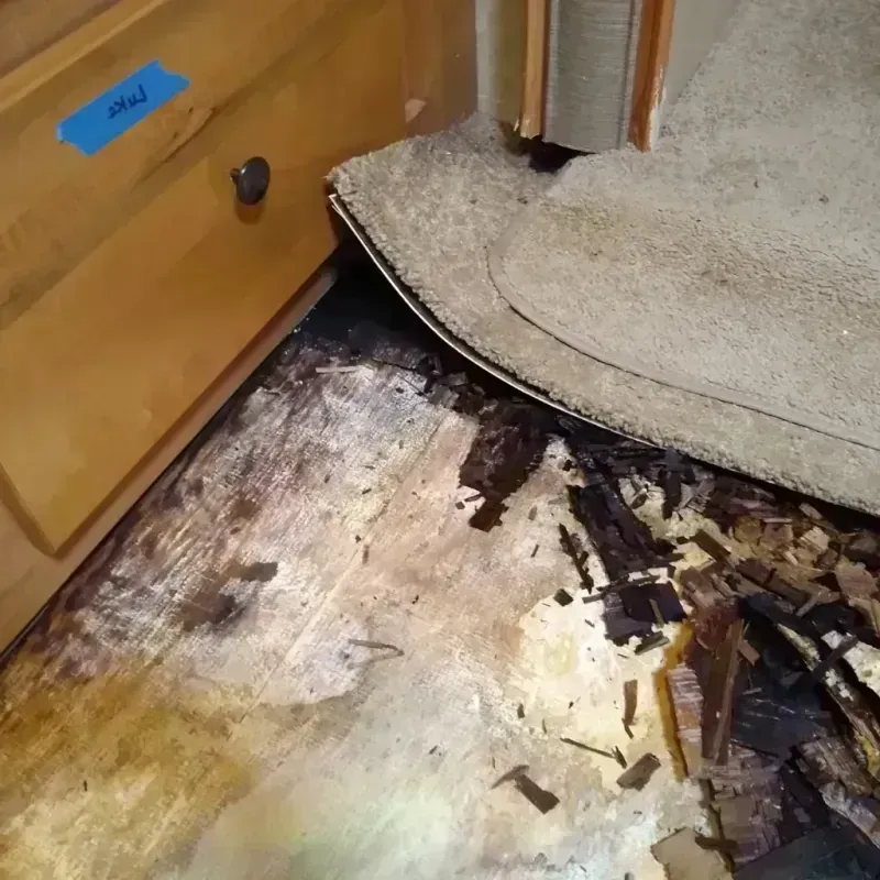 Wood Floor Water Damage in Sweet Home, OR